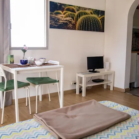 Agave Paradise * Puerto de la Cruz (Tenerife)