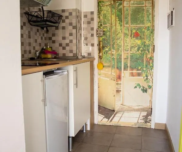 Agave Paradise * Puerto de la Cruz (Tenerife)