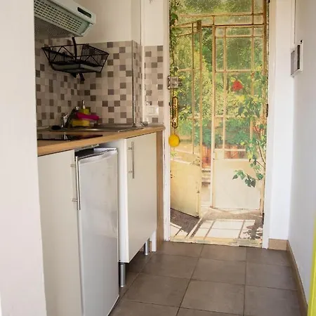 Agave Paradise * Puerto de la Cruz